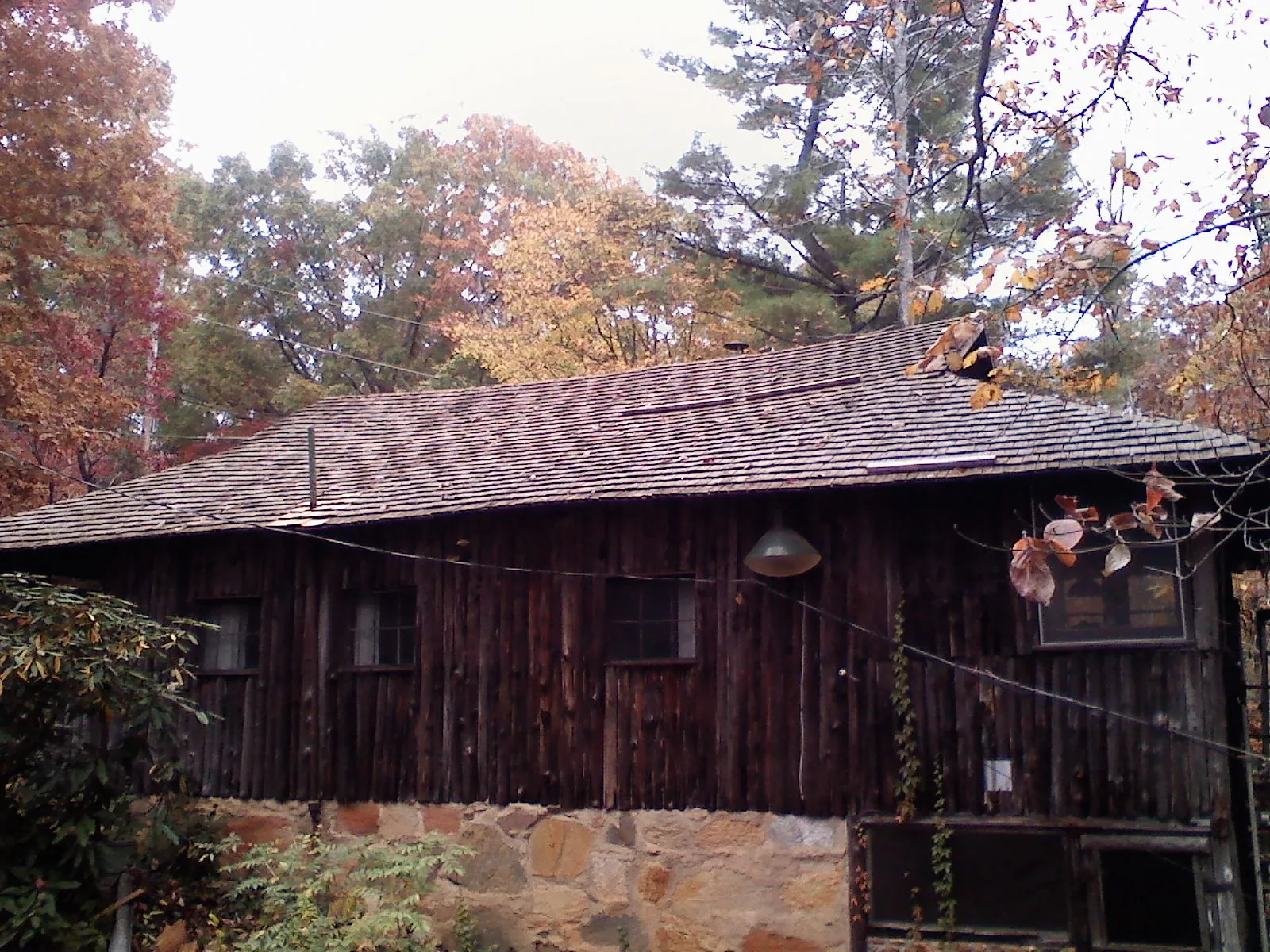 Weathered wood shake roof on a rustic board sided cabin in Cambridge